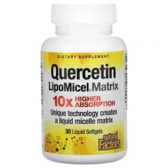 Quercetin LipoMicel Matrix 10 x Higher Absorption